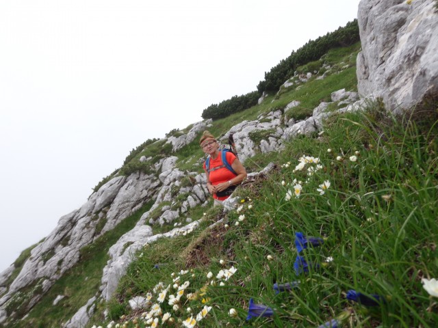 Kokrško sedlo, Dolge stene, 01.07.2018 - foto