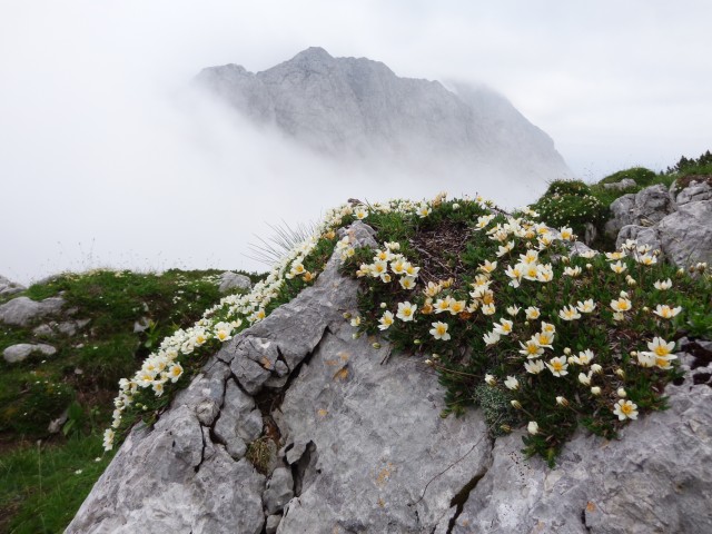 Kokrško sedlo, Dolge stene, 01.07.2018 - foto