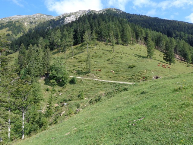 Draga, Planina Prevala, 16.08.2018 - foto