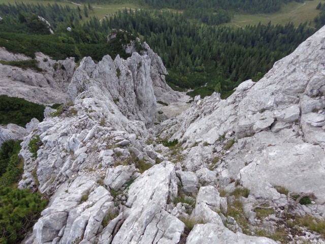 Zelenica-greben nad Suhim rušjem, 30.08.2018 - foto