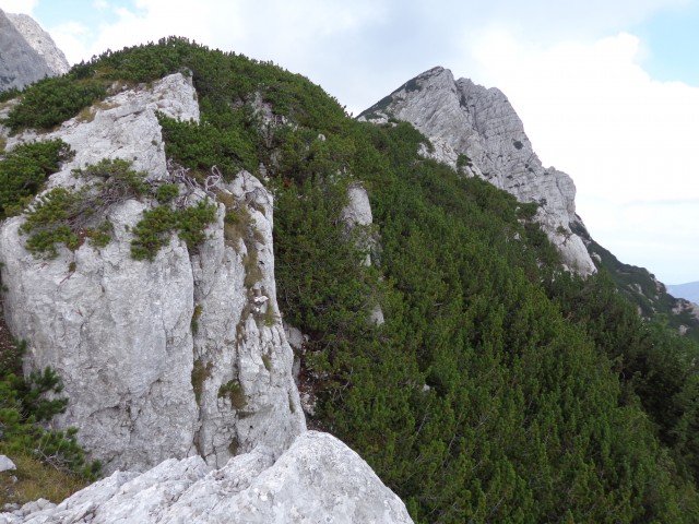 Zelenica-greben nad Suhim rušjem, 30.08.2018 - foto