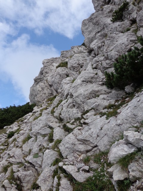 Zelenica-greben nad Suhim rušjem, 30.08.2018 - foto