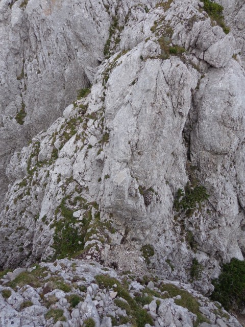 Zelenica-greben nad Suhim rušjem, 30.08.2018 - foto