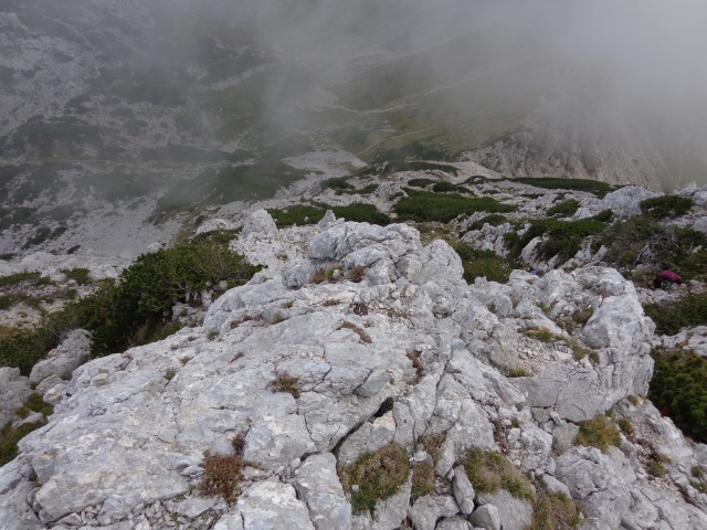 Kačji rob-Viševnik-MDV, 18.09.2018 - foto