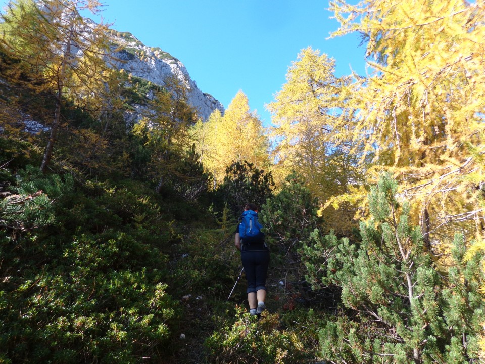 Ogradi, 13.10.2018 - foto povečava