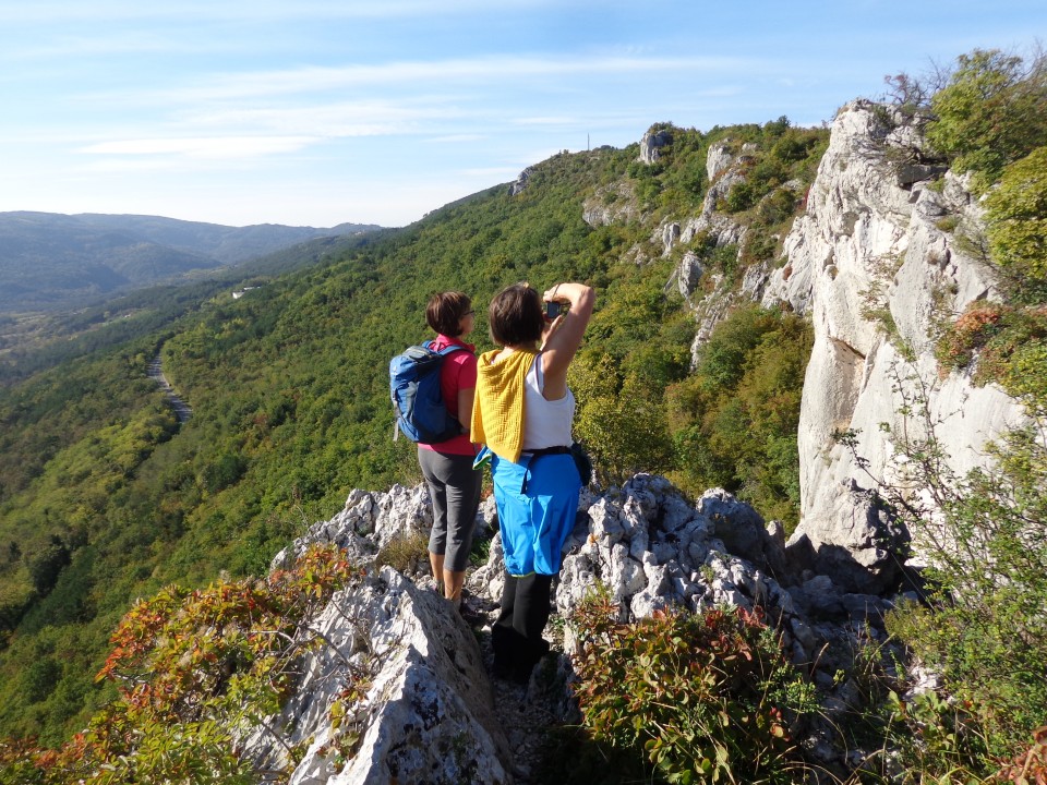 Osp in Spodmoli, 23.10.2018 - foto povečava