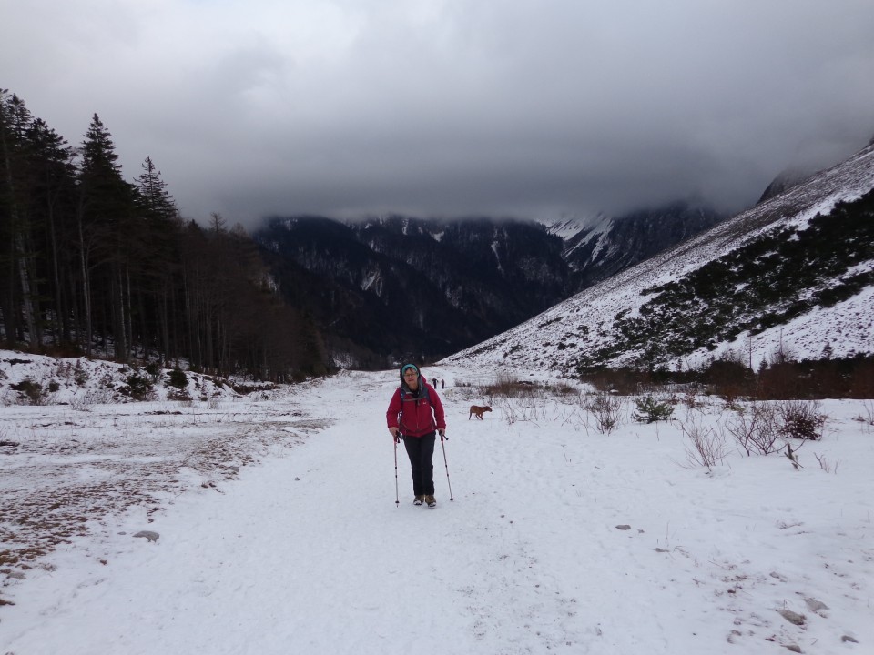 Zelenica, Zg. Plot, 22.12.2018 - foto povečava