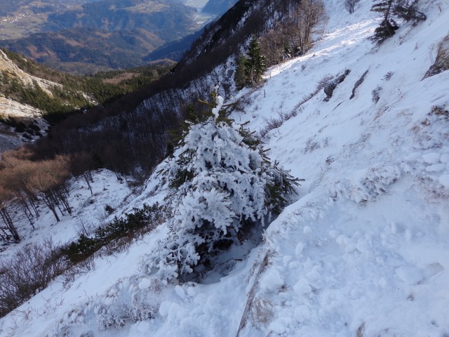 Ratitovec 23.12.2018 - foto