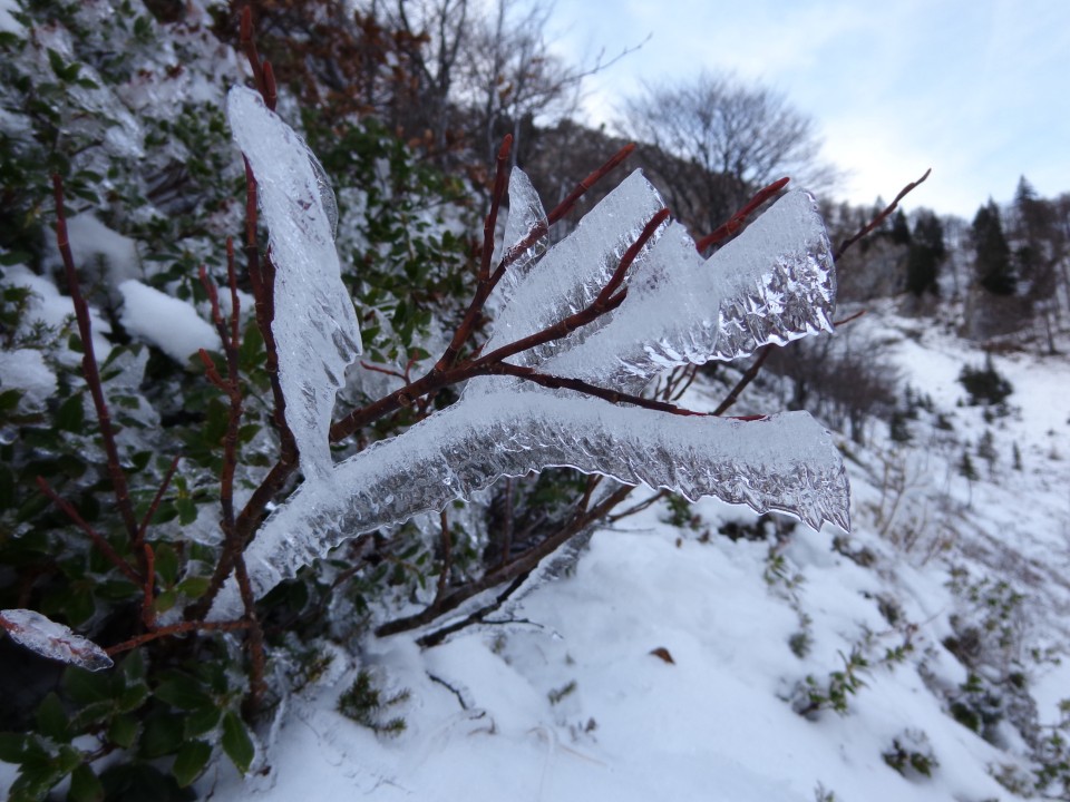 Ratitovec 23.12.2018 - foto povečava