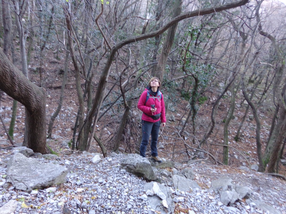 Glinščica, Comicijev greben, 27.12.2018 - foto povečava