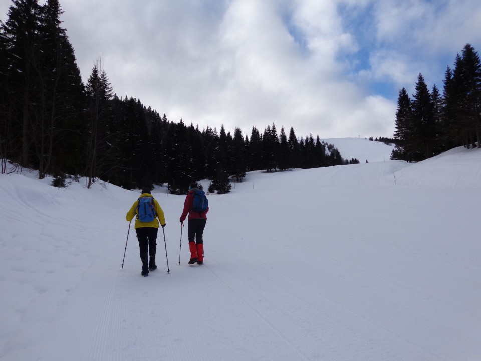 Dravh, Lajnar, Slatnik, 05.02.2019 - foto povečava