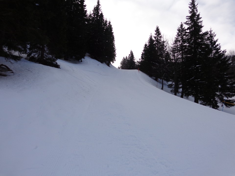 Dravh, Lajnar, Slatnik, 05.02.2019 - foto povečava