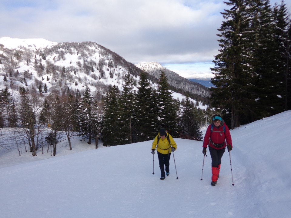 Dravh, Lajnar, Slatnik, 05.02.2019 - foto povečava