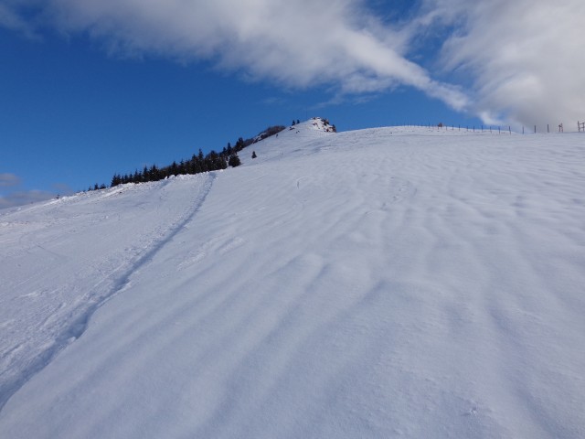 Dravh, Lajnar, Slatnik, 05.02.2019 - foto