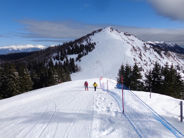 Dravh, Lajnar, Slatnik, 05.02.2019 - foto