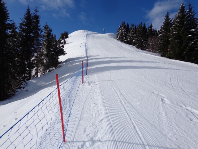 Dravh, Lajnar, Slatnik, 05.02.2019 - foto