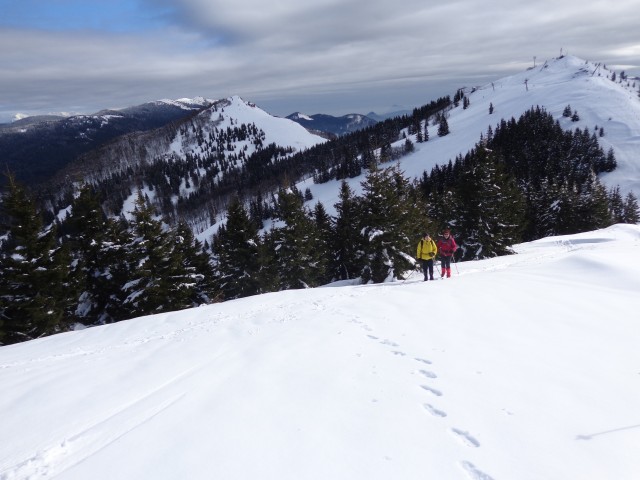 Dravh, Lajnar, Slatnik, 05.02.2019 - foto