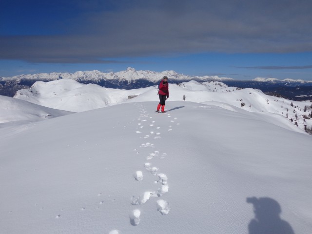 Dravh, Lajnar, Slatnik, 05.02.2019 - foto