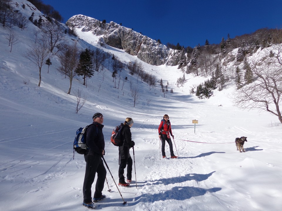 Ratitovec, 13.02.2019 - foto povečava