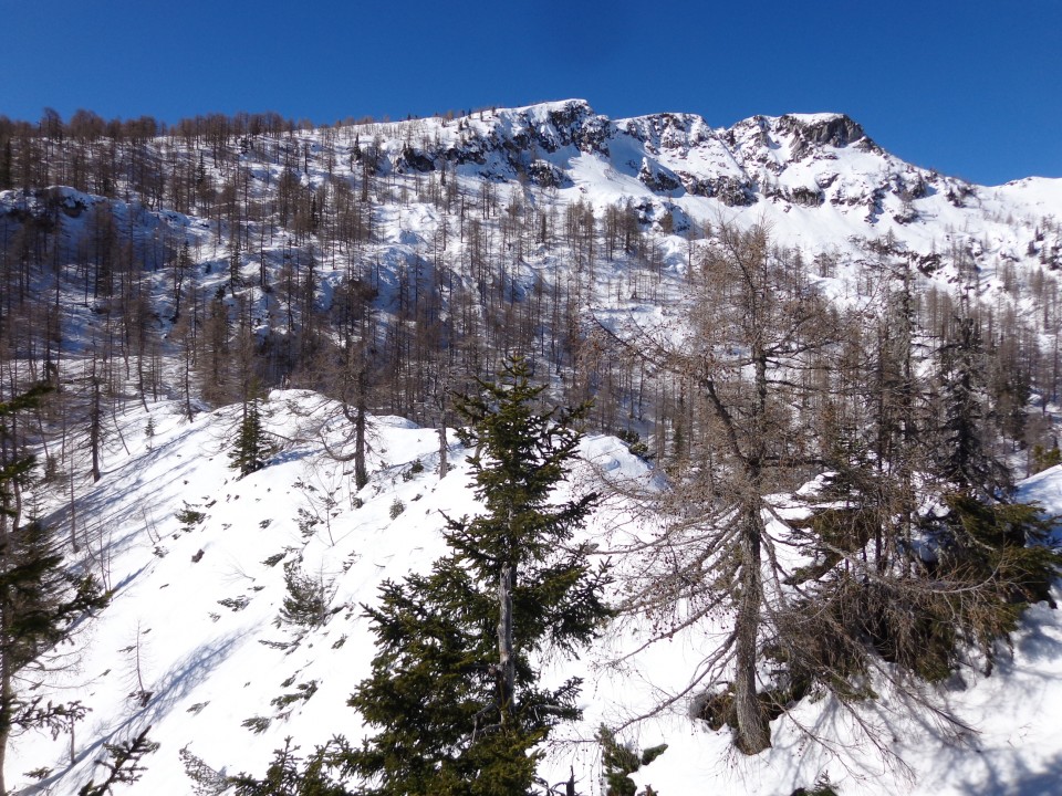 Planina Lipanca, 17.02.2019 - foto povečava