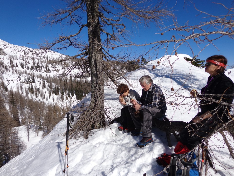 Planina Lipanca, 17.02.2019 - foto povečava