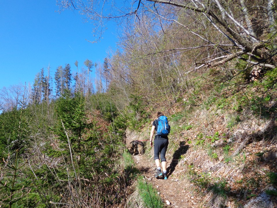 Kališče, Bašeljski preval, 19.04.2019 - foto povečava