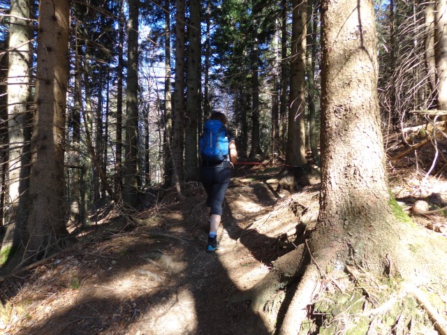 Kališče, Bašeljski preval, 19.04.2019 - foto