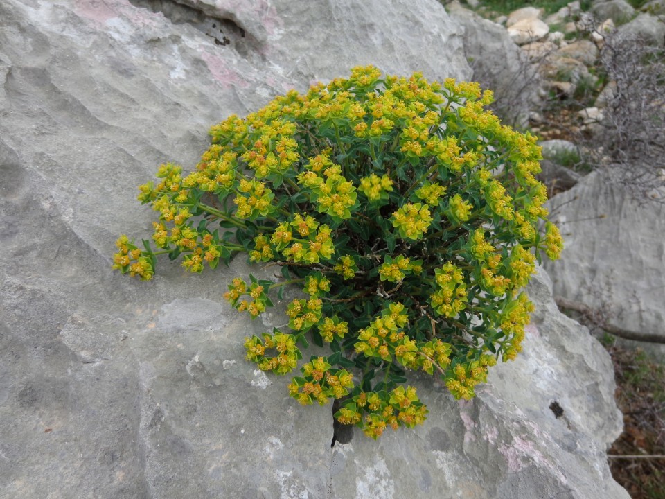 Paklenica - Aniča kuk, 23.04.2019 - foto povečava