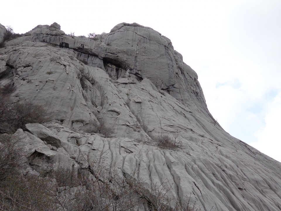 Bojinac, 24.04.2019 - foto povečava