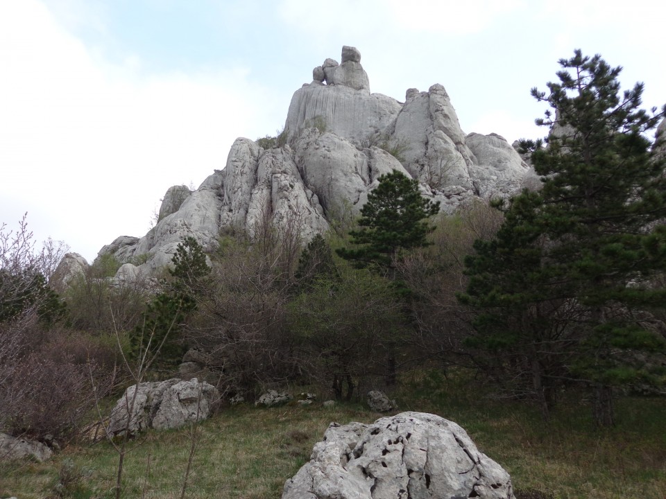 Bojinac, 24.04.2019 - foto povečava