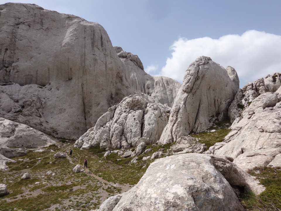 Tulove grede, 26.04.2019 - foto povečava