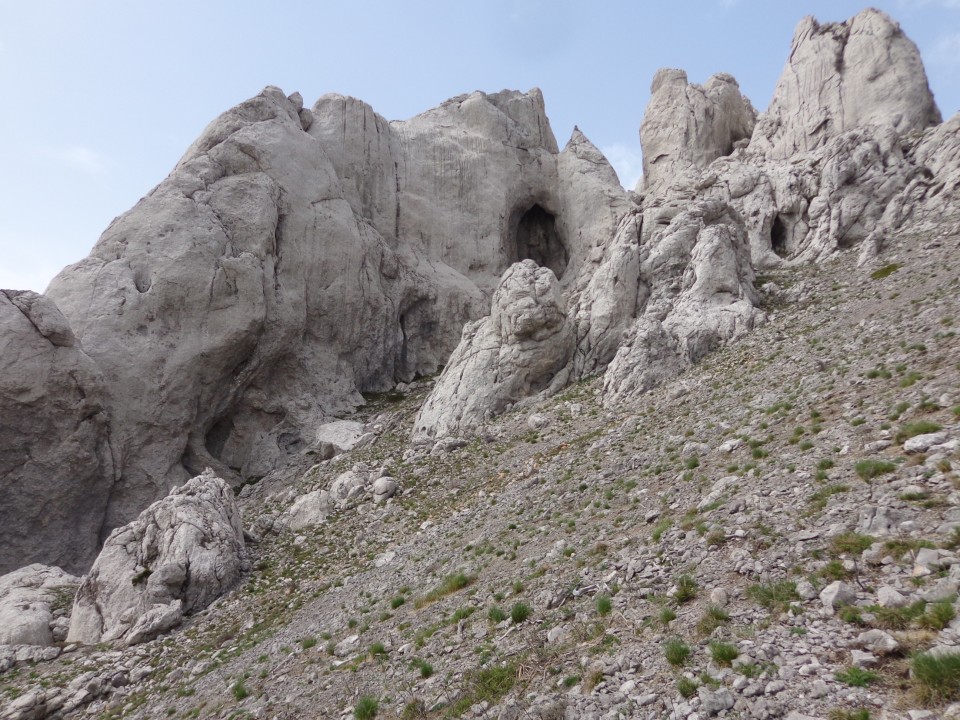 Tulove grede, 26.04.2019 - foto povečava