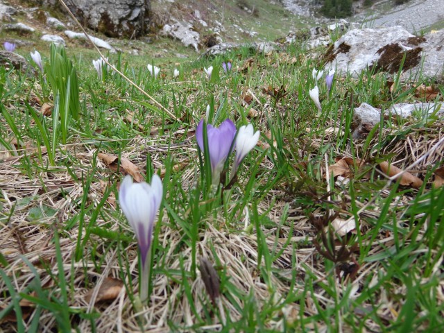 Ratitovec 24.05.2019 - foto
