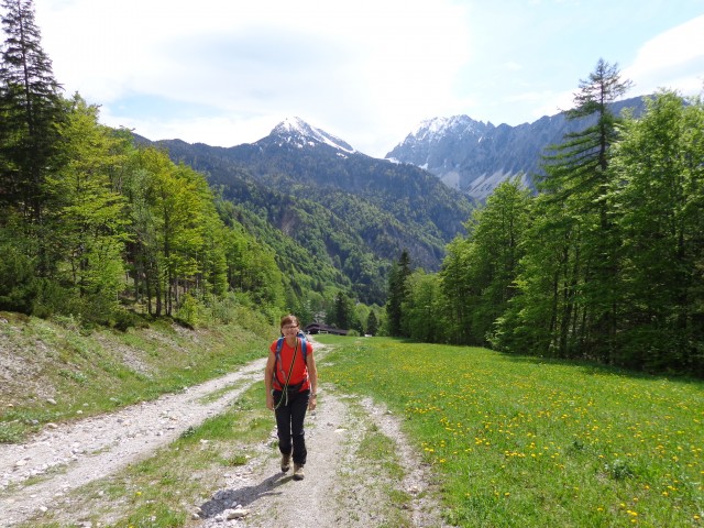 Zelenica, 31.05.2019 - foto