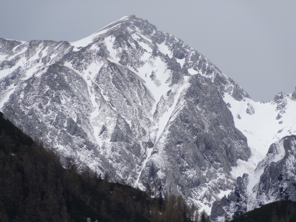 Zelenica, 31.05.2019 - foto povečava