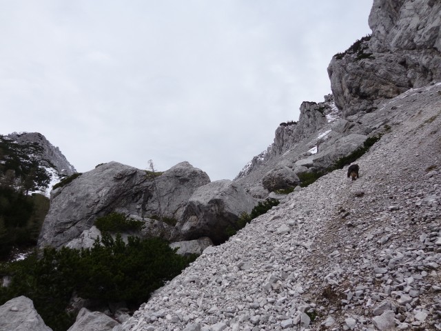 Zelenica, 31.05.2019 - foto