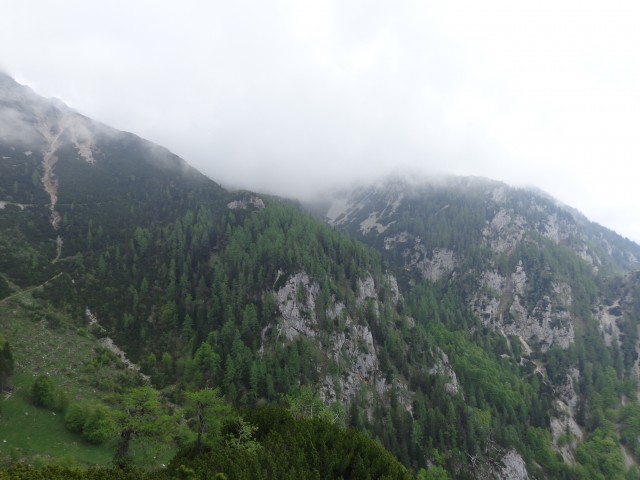 Krvavec - planina Košutna, 05.06.2019 - foto