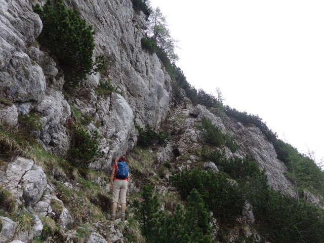 Krvavec - planina Košutna, 05.06.2019 - foto