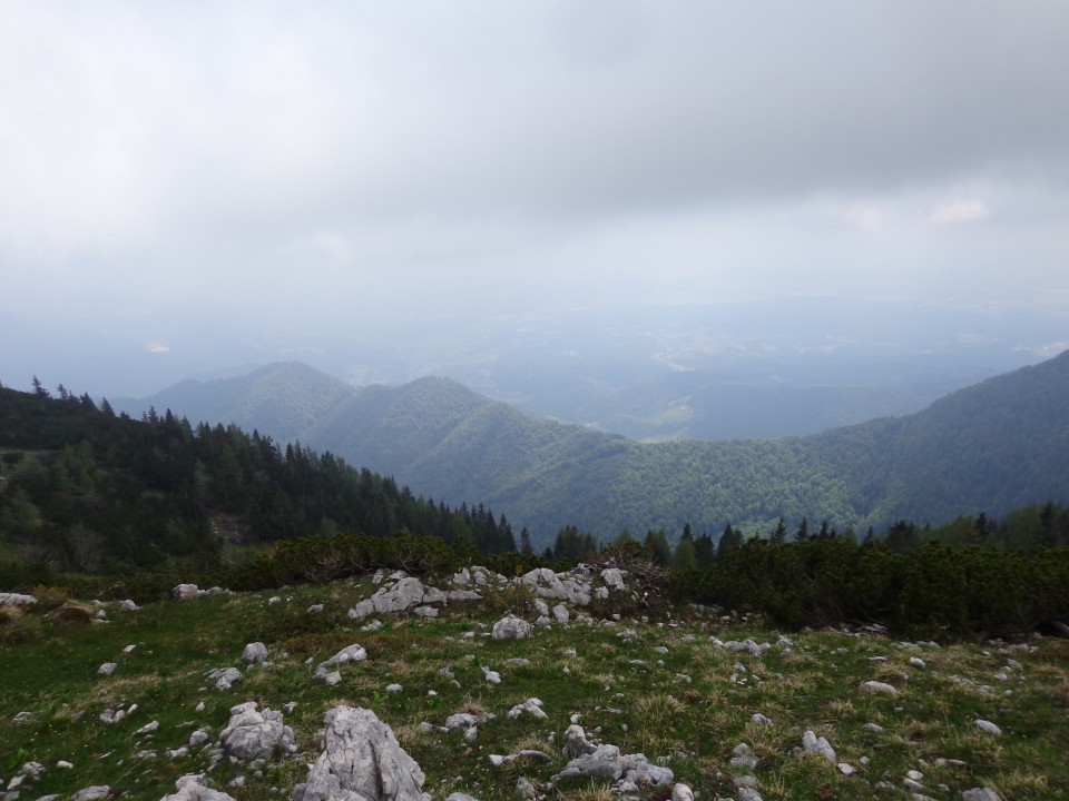 Krvavec - planina Košutna, 05.06.2019 - foto povečava