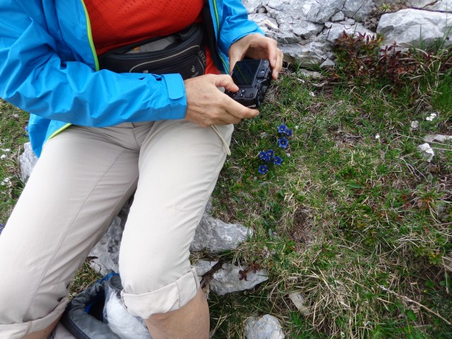 Krvavec - planina Košutna, 05.06.2019 - foto