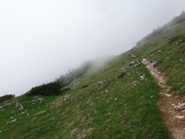 Krvavec - planina Košutna, 05.06.2019 - foto