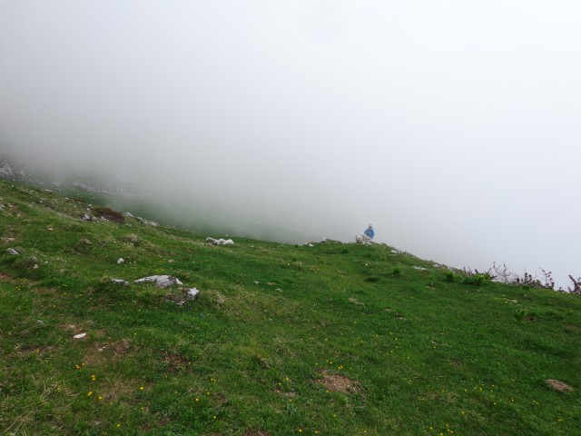 Krvavec - planina Košutna, 05.06.2019 - foto