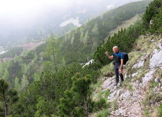 Krvavec - planina Košutna, 05.06.2019 - foto