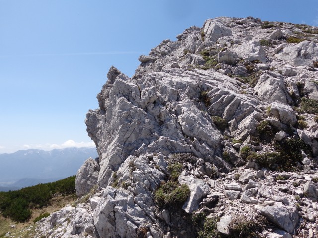 Na Viševnik po Kačjem robu, 08.06.2019 - foto