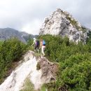 cvetoča Ljubeljščica, 12.06.2019