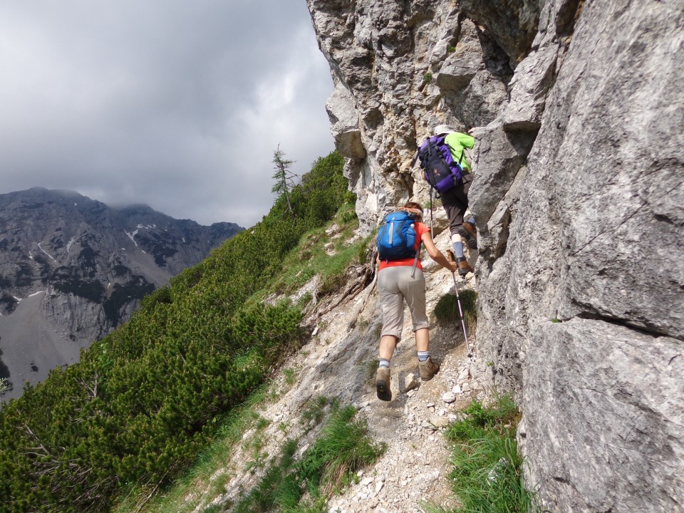 Cvetoča Ljubeljščica, 12.06.2019 - foto povečava