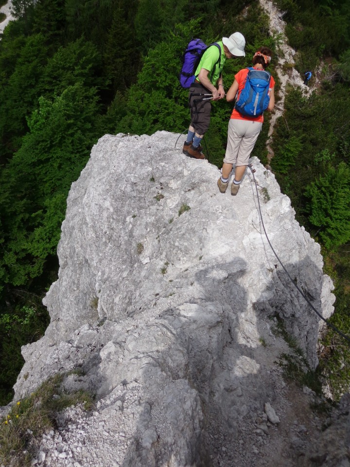 Cvetoča Ljubeljščica, 12.06.2019 - foto povečava