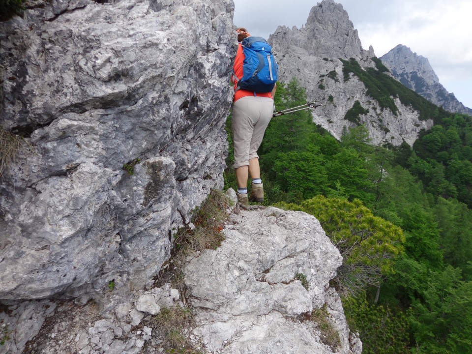 Cvetoča Ljubeljščica, 12.06.2019 - foto povečava