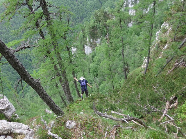 Martinj steza, Kuklarji, 15.06.2019 - foto