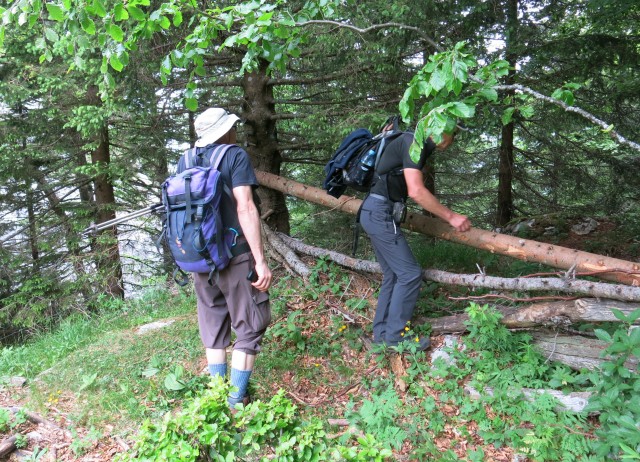 Martinj steza, Kuklarji, 15.06.2019 - foto